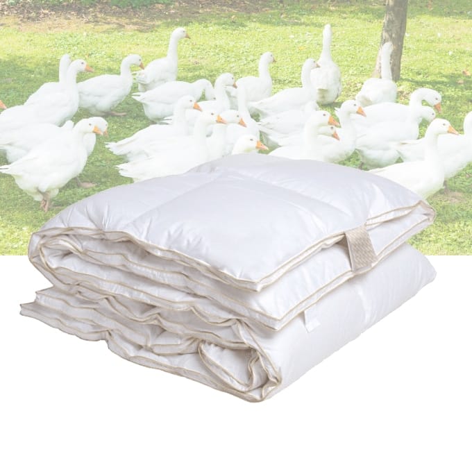 4 Seasons Duvet - 90% Goose Down