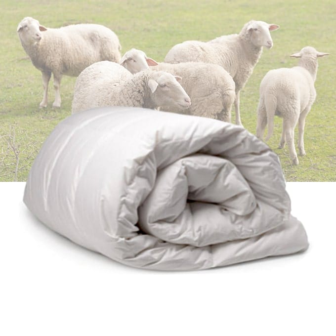 4 Seasons wool duvet