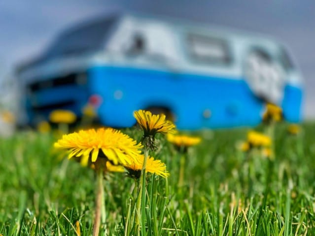 Freshen up for Spring: Bedroom Makeover for Optimal Sleep Comfort